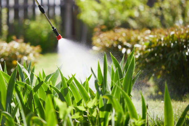Tamper-Resistant Bait Stations for Rodents in Healdsburg