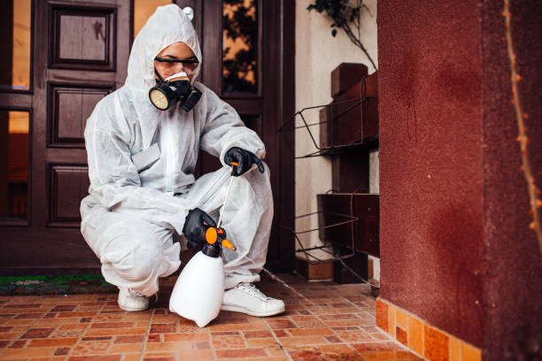 Attic and Crawl Space Rodent Treatment in Healdsburg