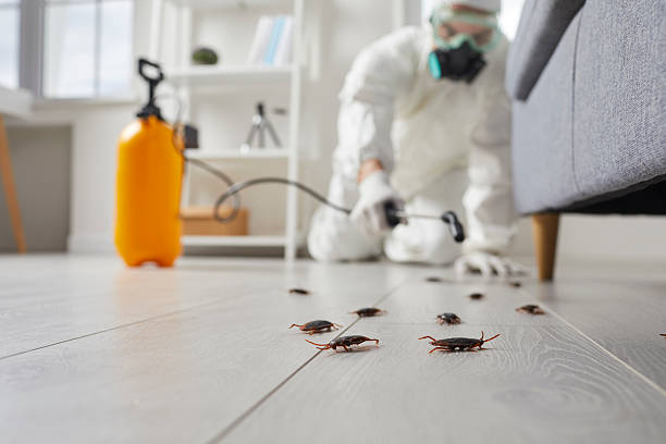 Commercial Rodent Management in Healdsburg